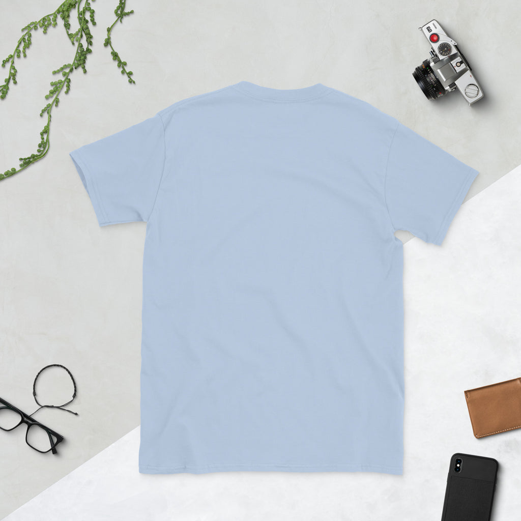 Pierogi Meets Bridge tee, light blue, back view — City of Bridges Pittsburgh apparel